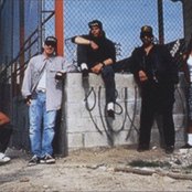 Suicidal Tendencies - List pictures