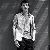 Shawn Mendes - List pictures