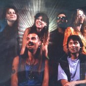 Magic Mushroom Band - List pictures