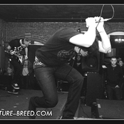 Revenge - List pictures