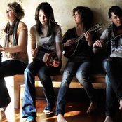 Shel - List pictures