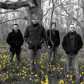 Celebrity - List pictures