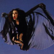 Kate Bush - List pictures