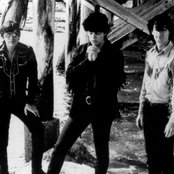 Hoodoo Gurus - List pictures