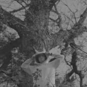 Your Friend - List pictures