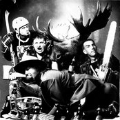 D.o.a - List pictures