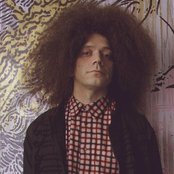 Polar Bear - List pictures