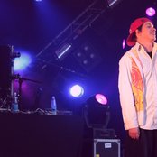 Nopsajalka - List pictures