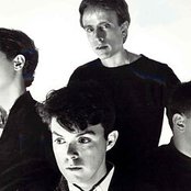 The Bongos - List pictures