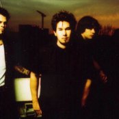 Drist - List pictures