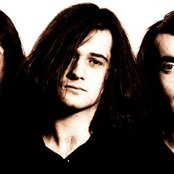 Loop - List pictures