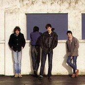 Sneaky Feelings - List pictures