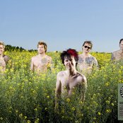 Toten Hosen - List pictures