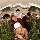 Kottonmouth Kings - List pictures