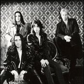 Ratt - List pictures