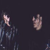 Cat's Eyes - List pictures