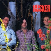 Husker Du - List pictures