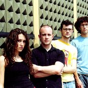 Straylight Run - List pictures