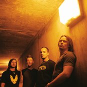 Alter Bridge - List pictures