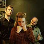 The Tiny - List pictures