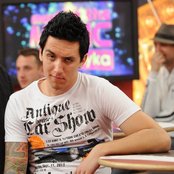 Rotten Bark - List pictures