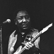Muddy Waters - List pictures