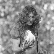 Led Zeppelin - List pictures