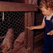 Ben Lee - List pictures