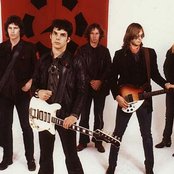 Radio Birdman - List pictures