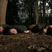 These Arms Are Snakes - List pictures