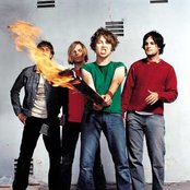 Vines - List pictures