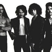 Survivor - List pictures