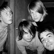 Goose - List pictures