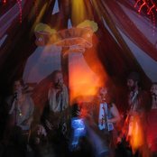 Woodpigeon - List pictures