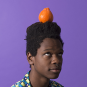 Shamir - List pictures