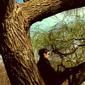 Goldmund - List pictures