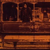 Morning Glory - List pictures