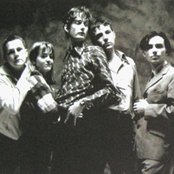 Pulp - List pictures