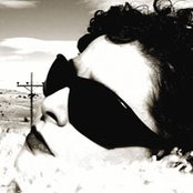 Angela Mccluskey - List pictures