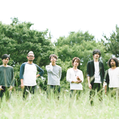 Llama - List pictures