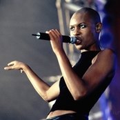 Skin - List pictures