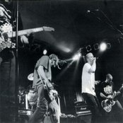 Crashdog - List pictures