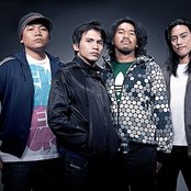 Spongecola - List pictures