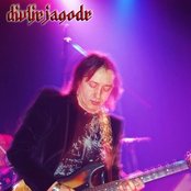 Divlje Jagode - List pictures