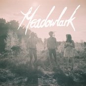 Meadowlark - List pictures
