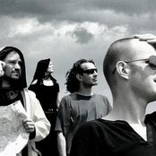 Disillusion - List pictures