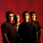 Skank - List pictures