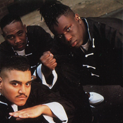 Fu-schnickens - List pictures