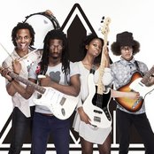 White Ash - List pictures