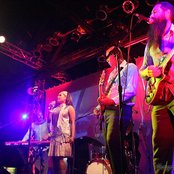 Dengue Fever - List pictures